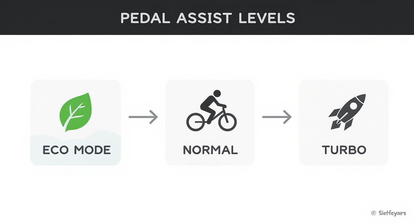 Infographic about what is pedal assist ebike