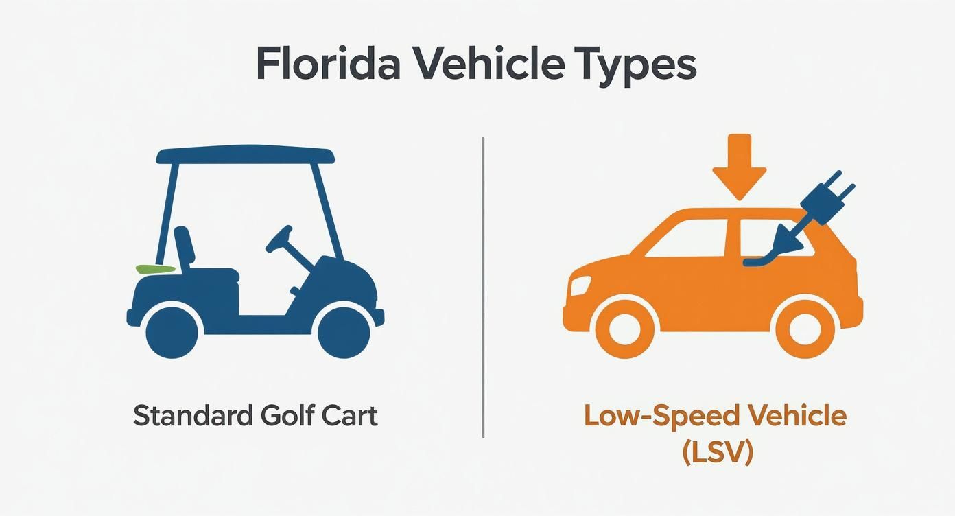 Infographic about golf carts legal in florida