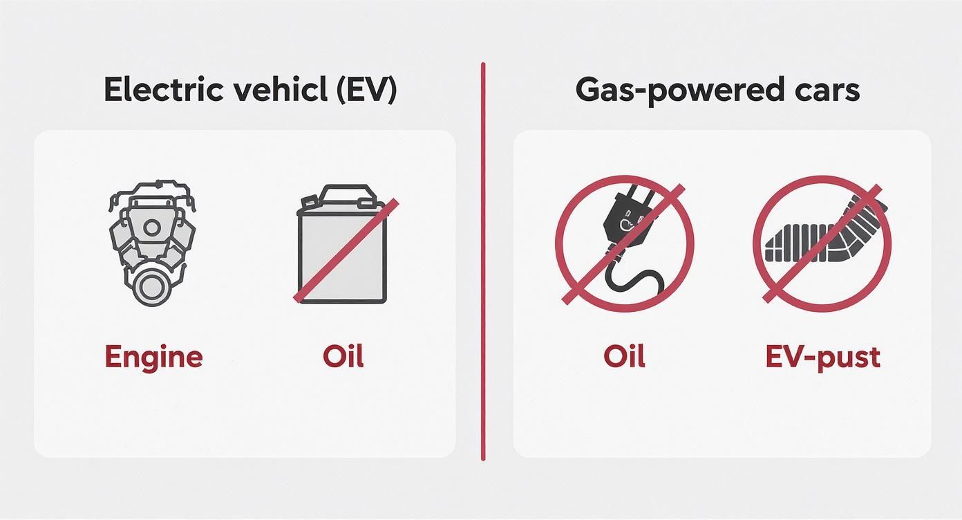An infographic comparing electric vehicles (EVs) and gas cars, showing an EV motor, no oil, and gas cars with no electric charging or EV-specific components.