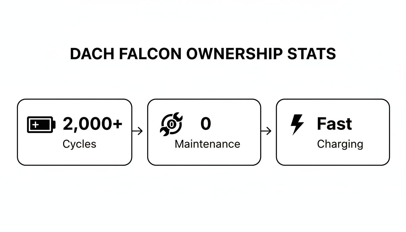 DACH Falcon ownership statistics showing 2,000+ battery cycles, zero maintenance, and fast charging capabilities.