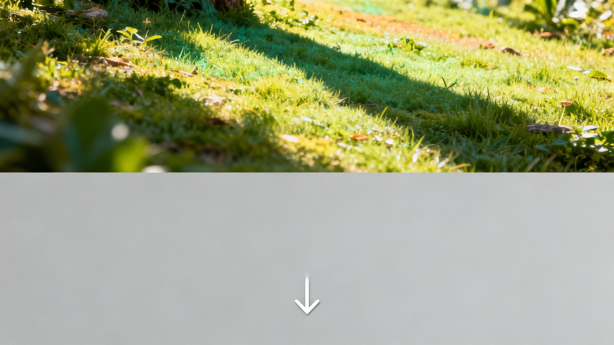 Illustration showing how lazy loading only loads images as the user scrolls down the page.