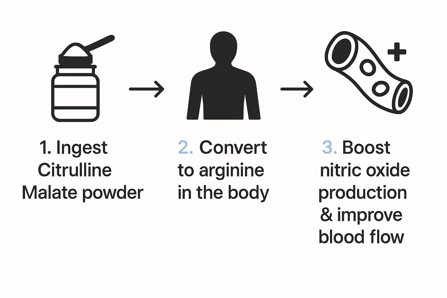 Infographic about what is citrulline malate