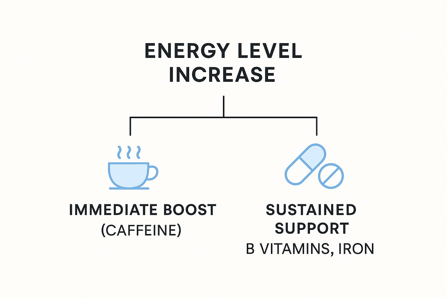 a chart showing sources of energy for workouts