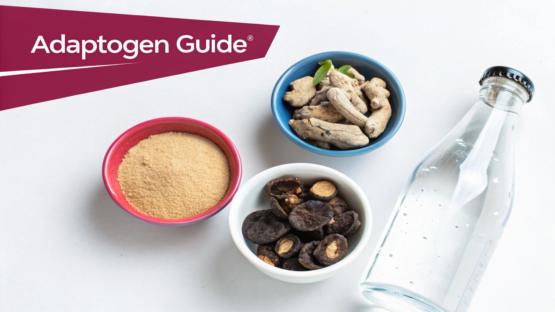 Three bowls with various adaptogenic ingredients and a clear glass bottle, next to an 'Adaptogen Guide' banner.