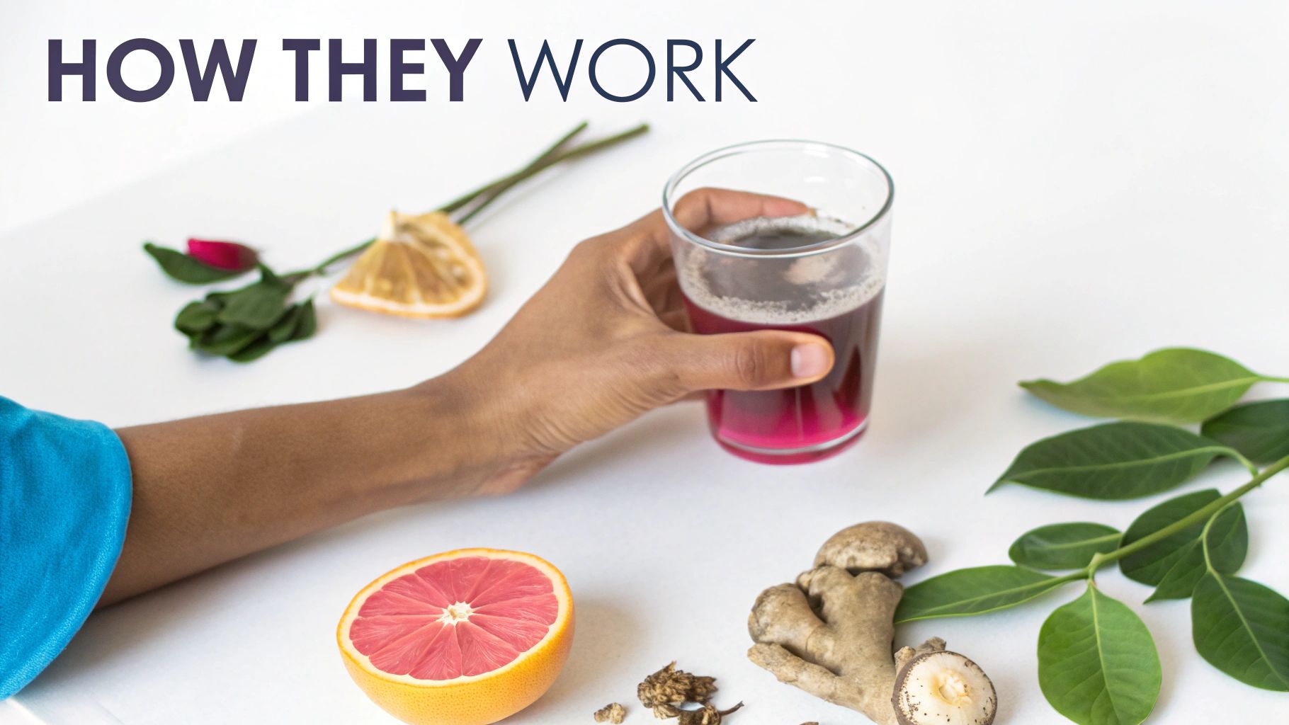 A lineup of alcohol replacement drinks showcasing bottles and cans