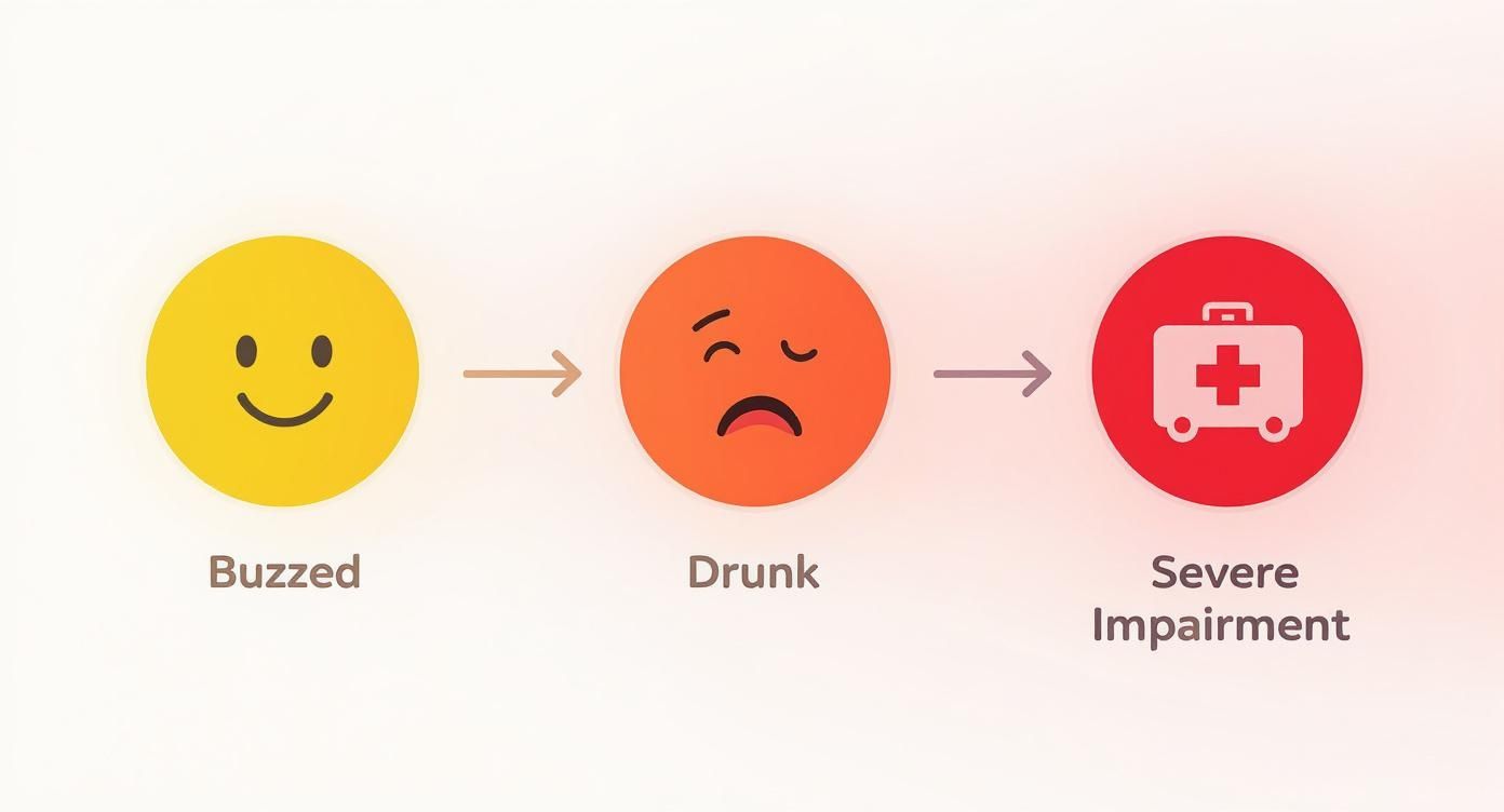 Visual progression of alcohol intoxication from buzzed (smiley) to drunk (sad face) to severe impairment (first aid kit).