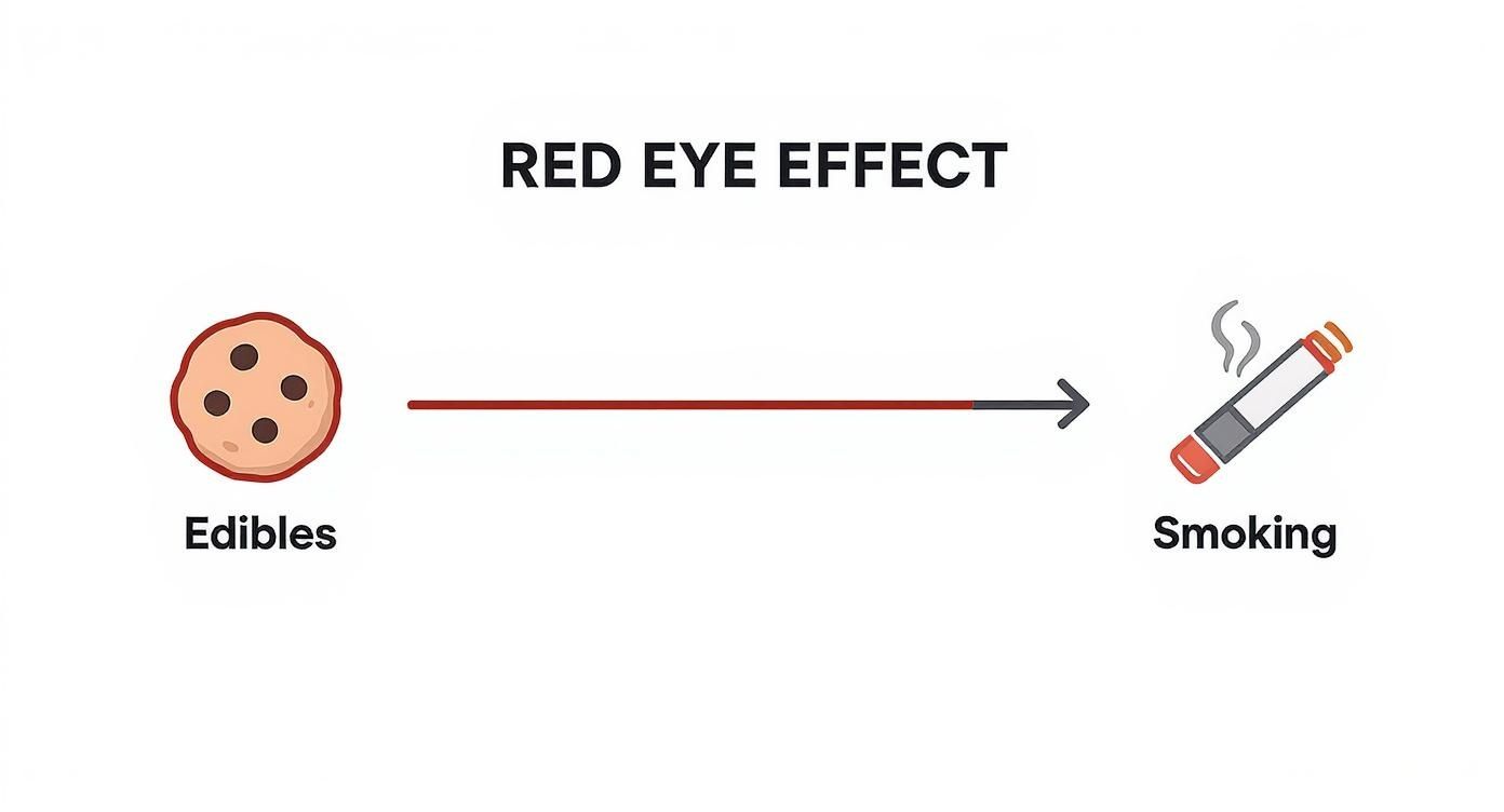 A graphic titled 'RED EYE EFFECT' compares edibles (cookie) and smoking (cigarette).