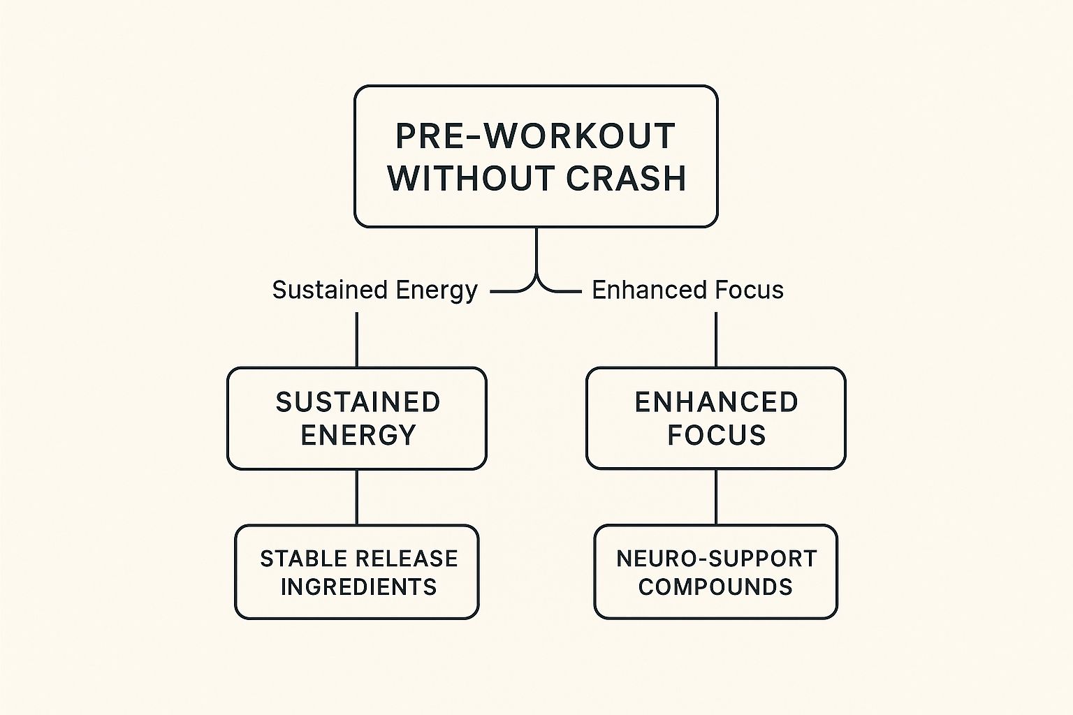 Infographic about pre workout without crash