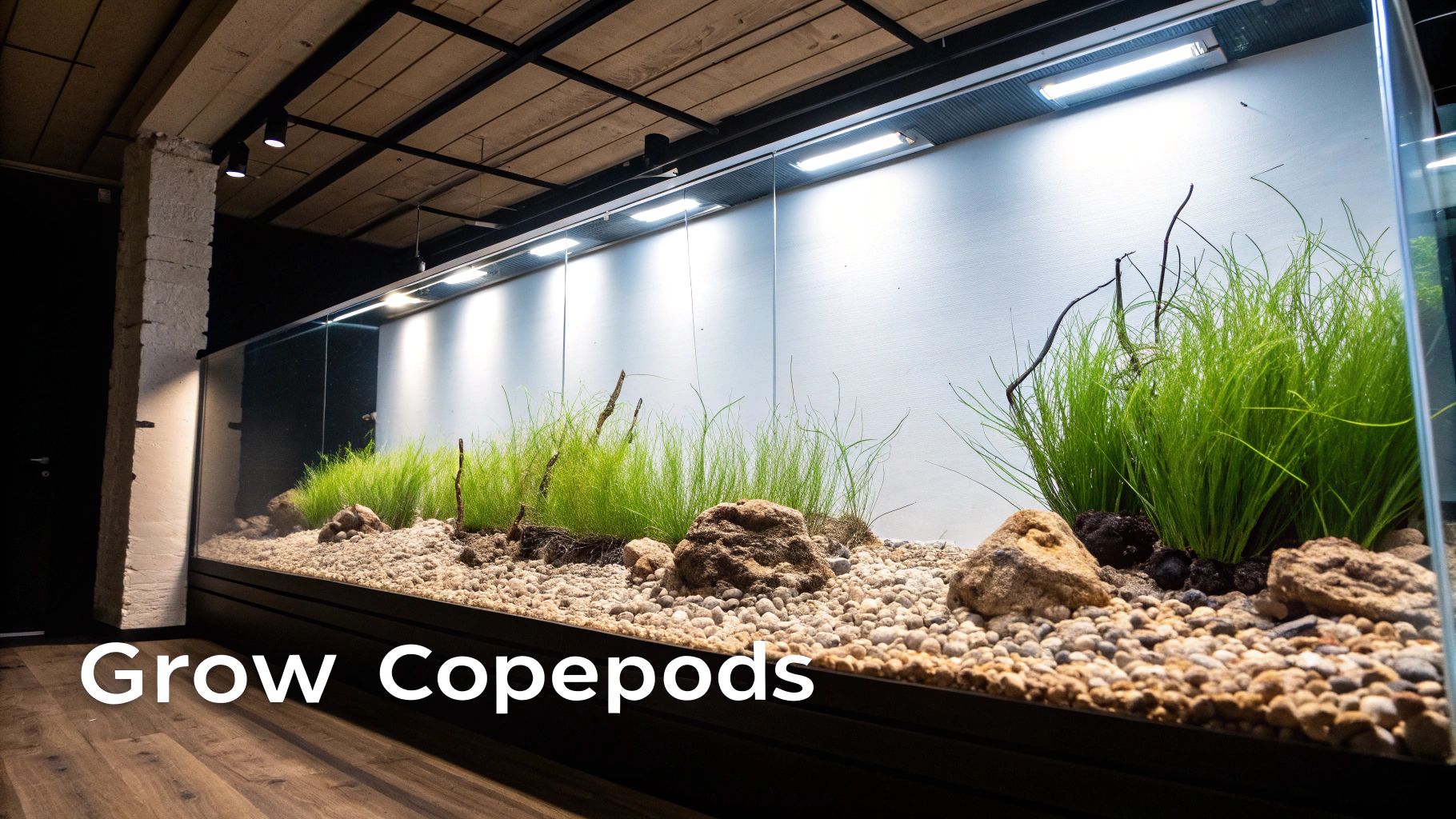 A long, modern aquarium setup featuring lush green aquatic plants, natural rocks, and a gravel substrate.