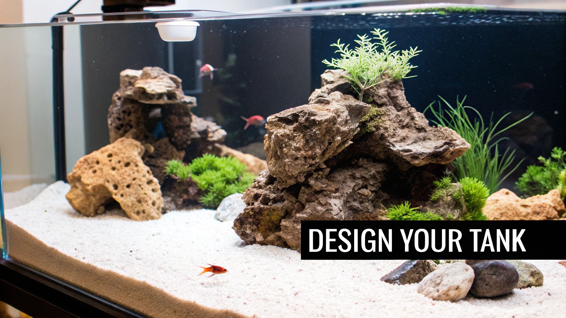 A meticulously designed freshwater aquarium featuring white sand, diverse rocks, vibrant green plants, and several small orange fish.