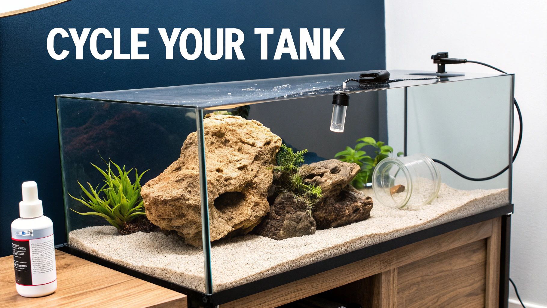 A well-established saltwater aquarium with live rock and corals.