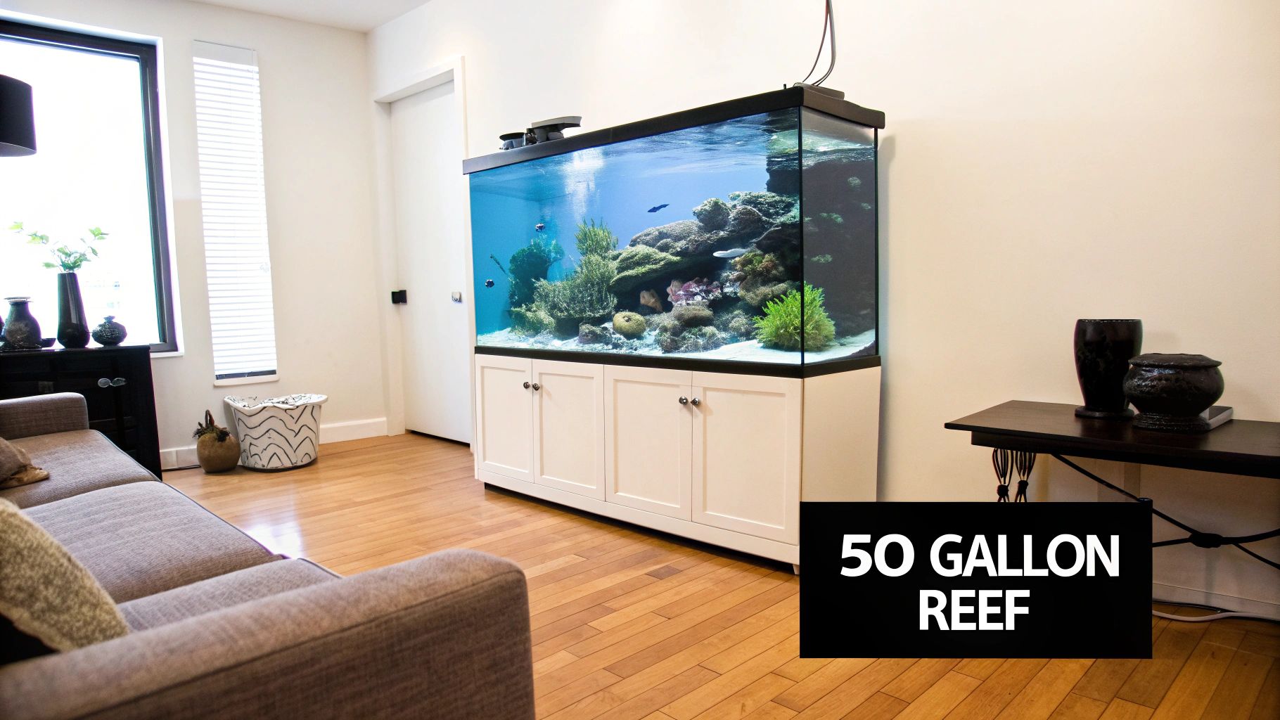 A vibrant 50-gallon reef aquarium with colorful corals and fish in a modern living room.