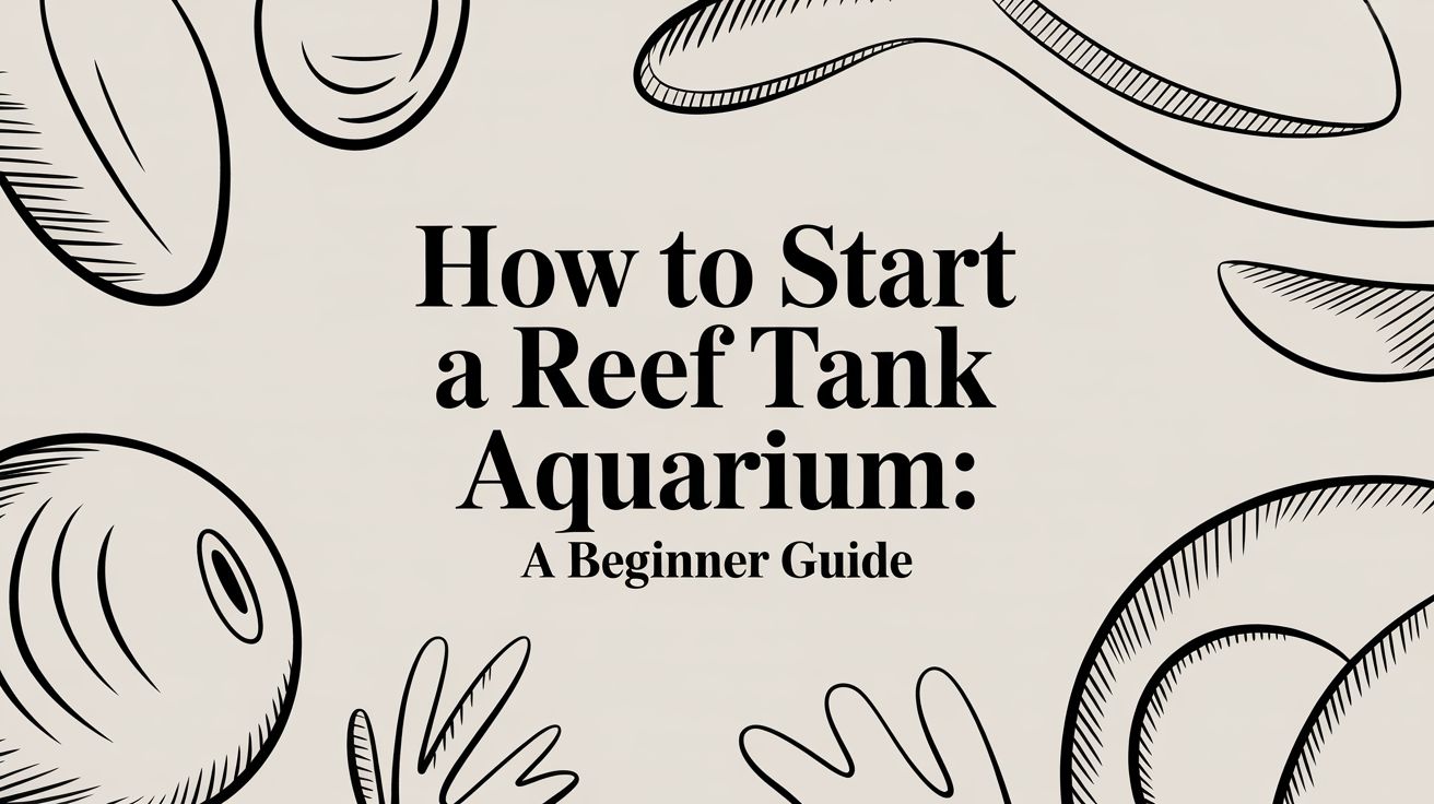 How to start a reef tank aquarium: a beginner guide