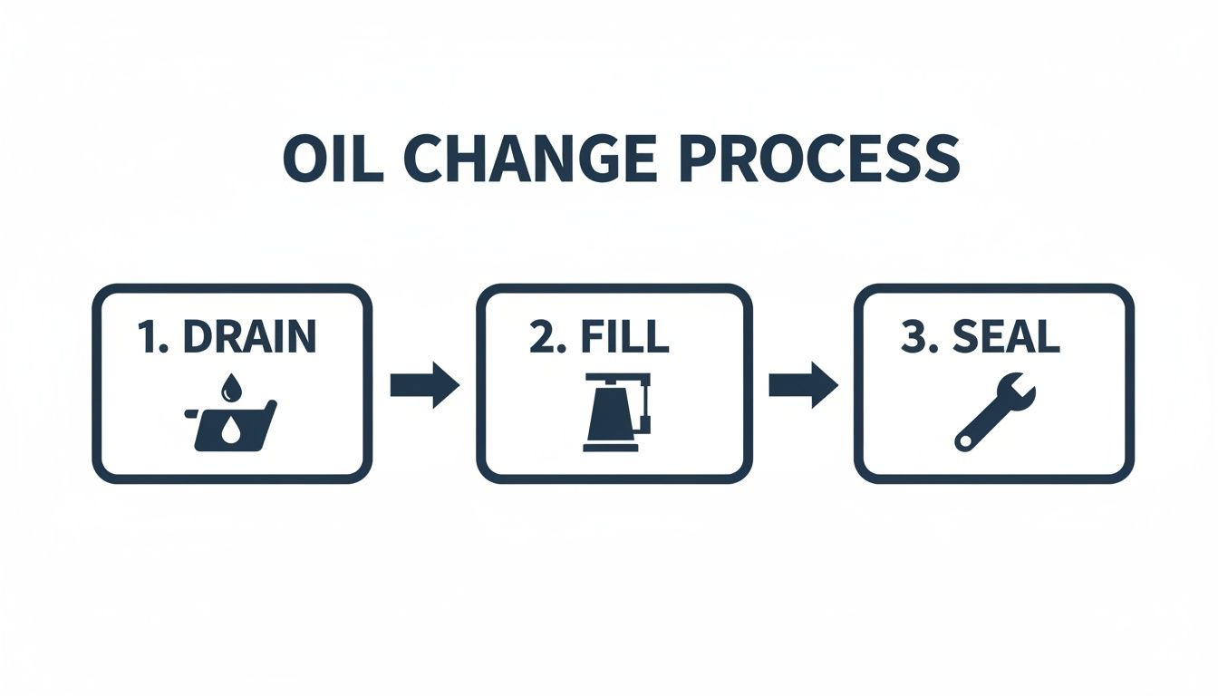 Infographic illustrating the three sequential steps of an oil change process: drain, fill, and seal.