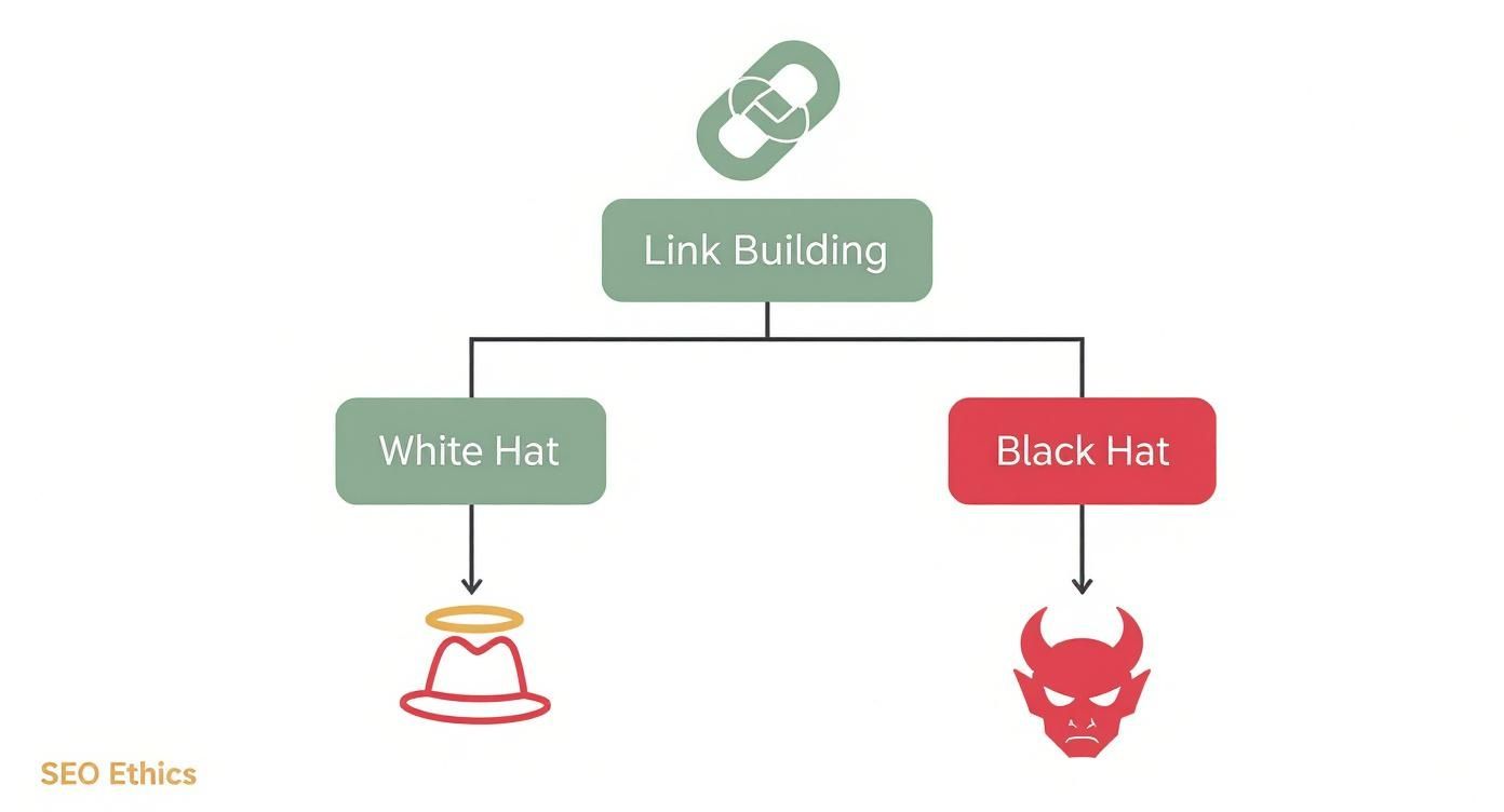 Flowchart illustrating Link Building in SEO, categorizing practices into White Hat (ethical) and Black Hat (unethical).