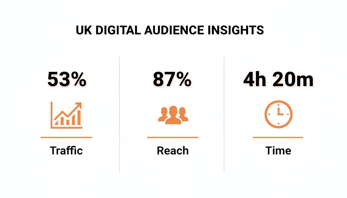 UK digital audience insights chart showing 53% traffic, 87% reach, and 4 hours 20 minutes time.