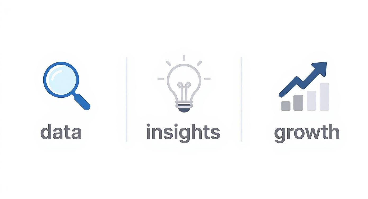 Three panel illustration showing data magnifying glass, insights light bulb, and growth chart with upward arrow