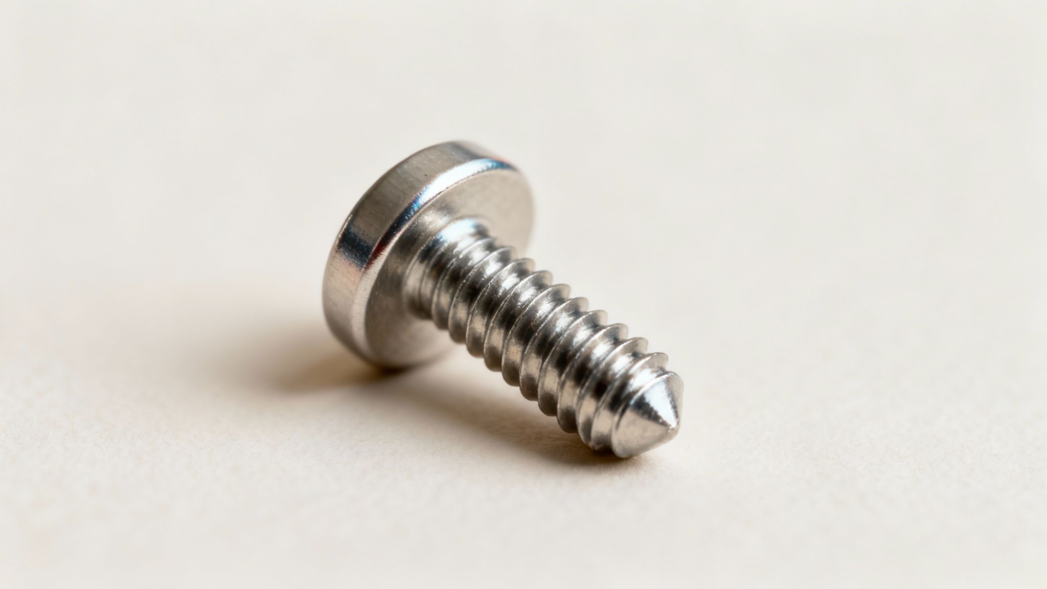 Several types of stainless steel fasteners organized in a tray, showcasing their metallic sheen.