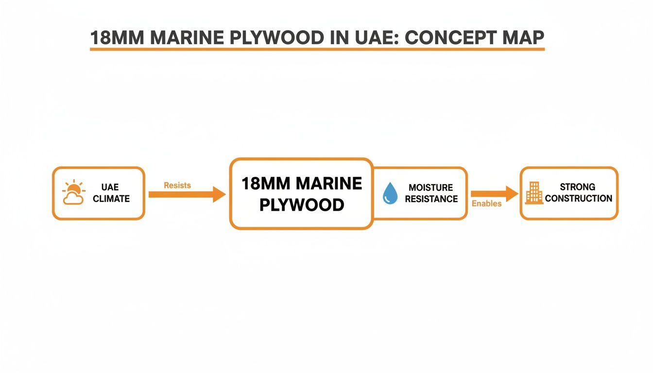 Concept map details 18mm marine plywood's resistance to UAE climate, offering moisture resistance for strong construction.