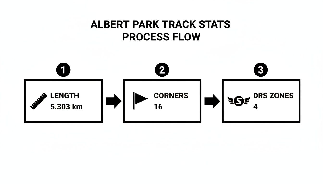 Albert Park Track Map A Driver's Guide To The F1 Circuit – TrackNation