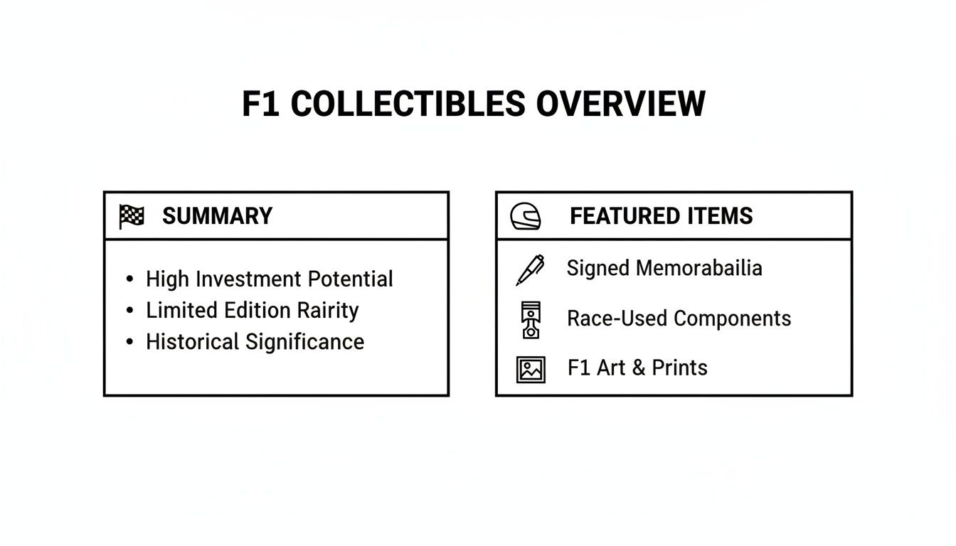 F1 Collectibles Overview outlining investment potential, rarity, and featured items like signed memorabilia.