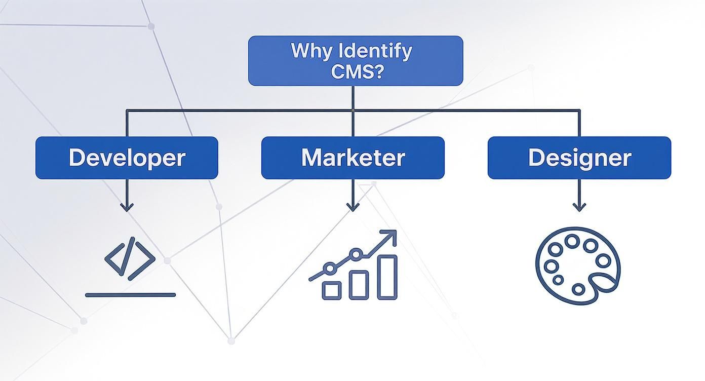 Infographic about what cms does a site use