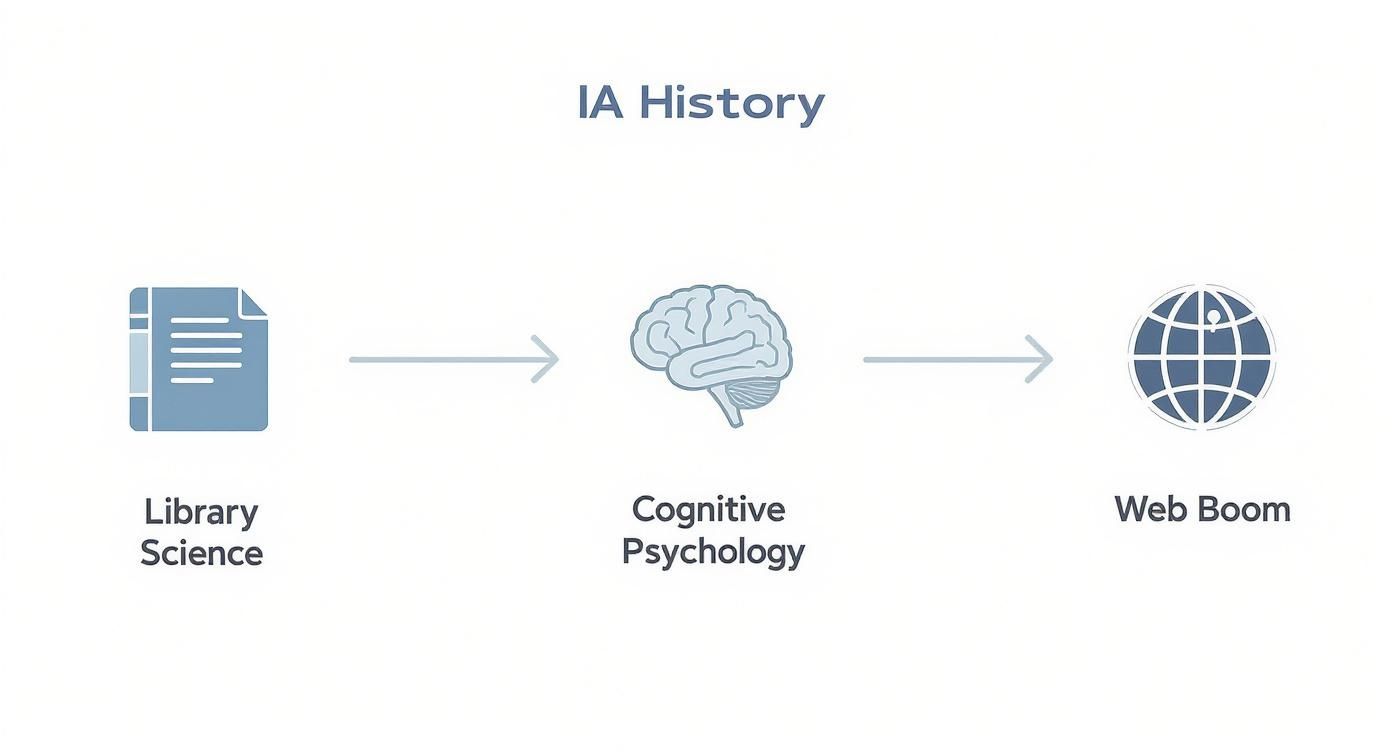 Infographic about what is information architecture