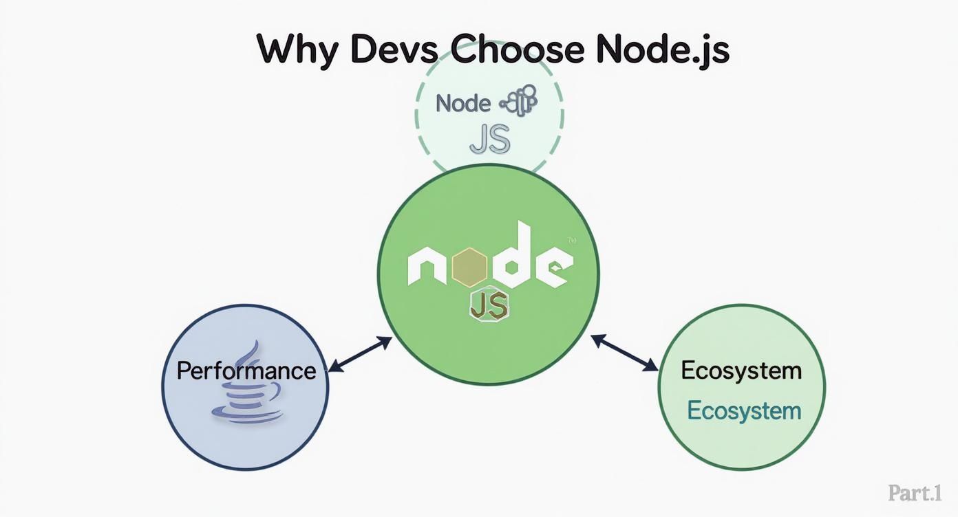 Infographic showcasing why developers choose Node.js, highlighting performance, JavaScript, and its ecosystem.