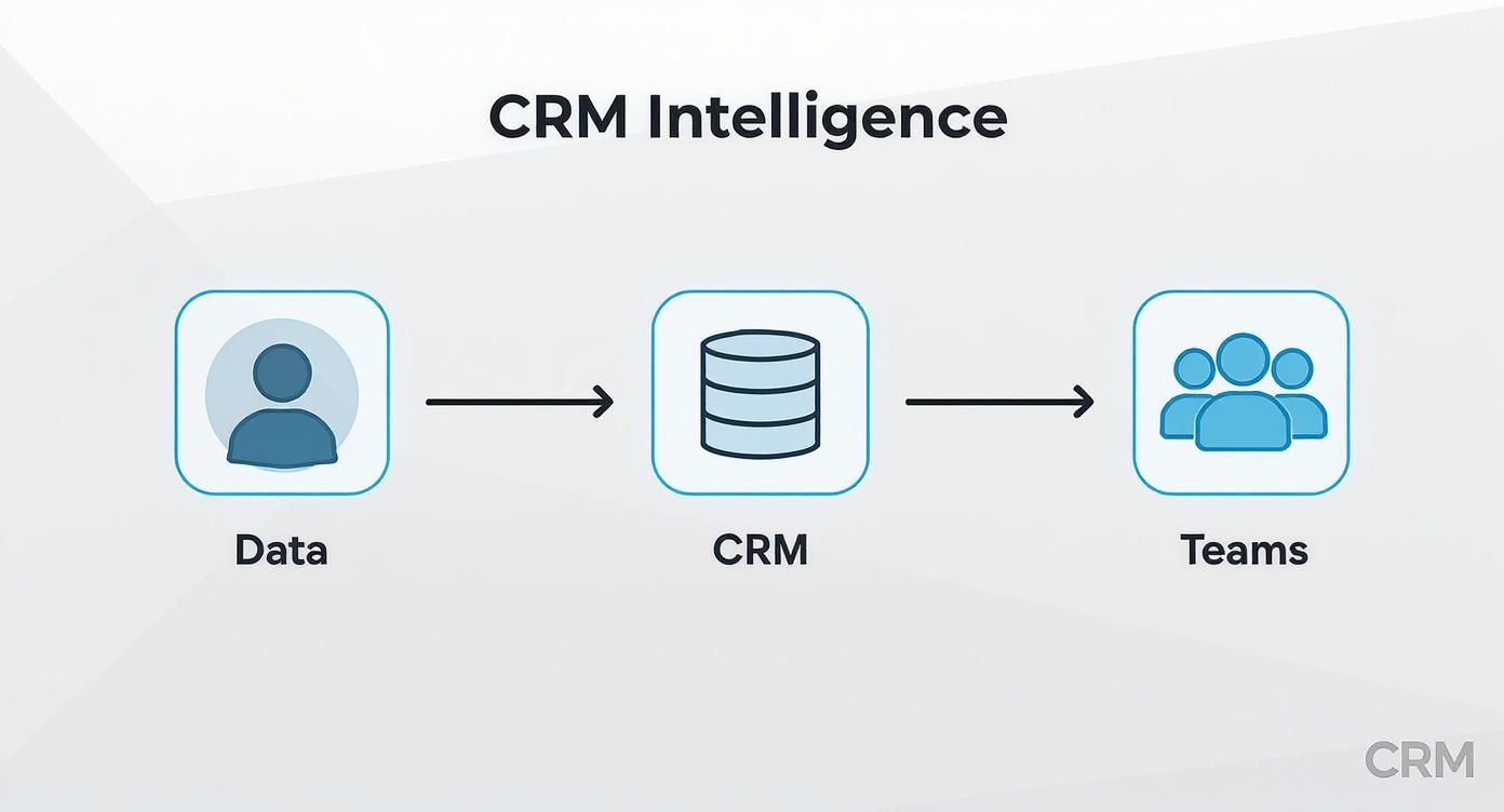Infographic showing the process flow of how user data from a website moves to a CRM and is then used by business teams.