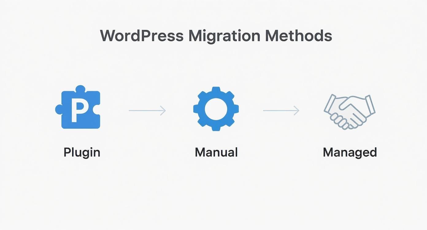 Infographic about how to migrate wordpress site