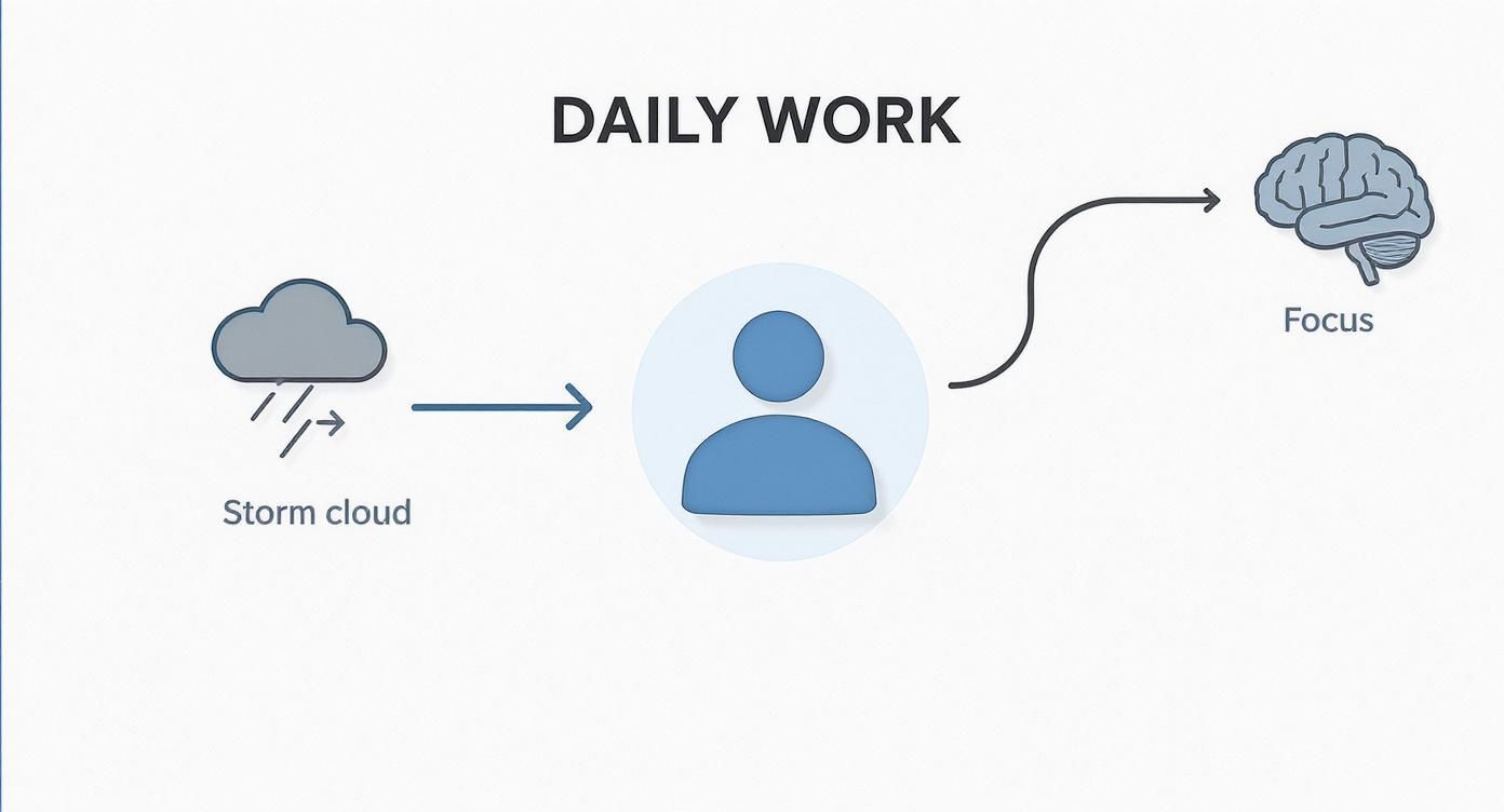 Infographic about personal assistant ai app