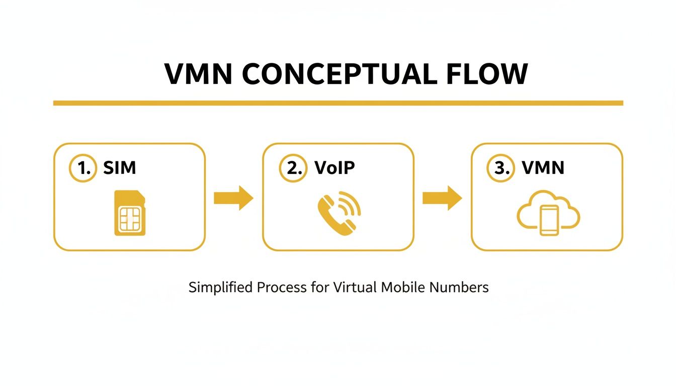 Infographic about virtual mobile number australia