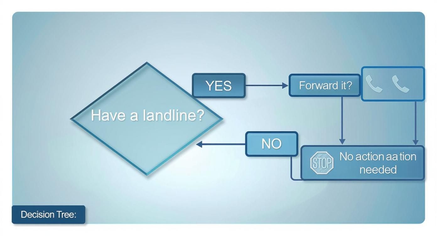 Infographic about forward landline to mobile