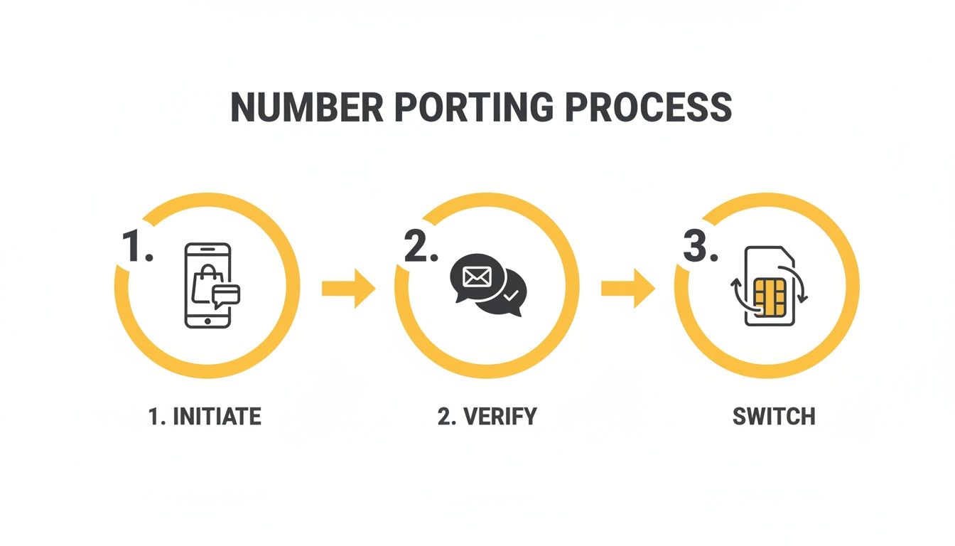 An infographic detailing the three steps of a number porting process: initiate, verify, and switch.