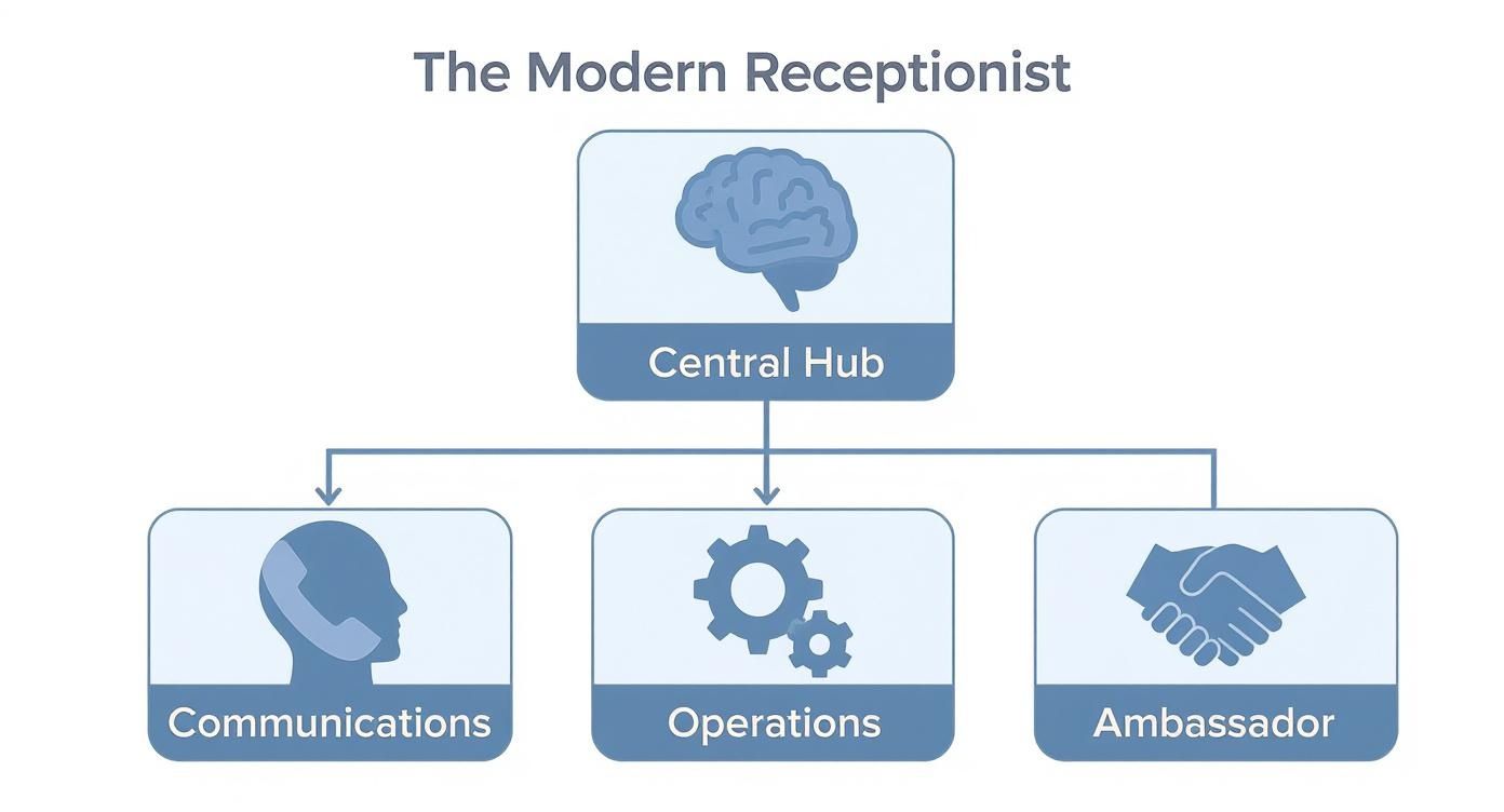 Infographic about what is a receptionist