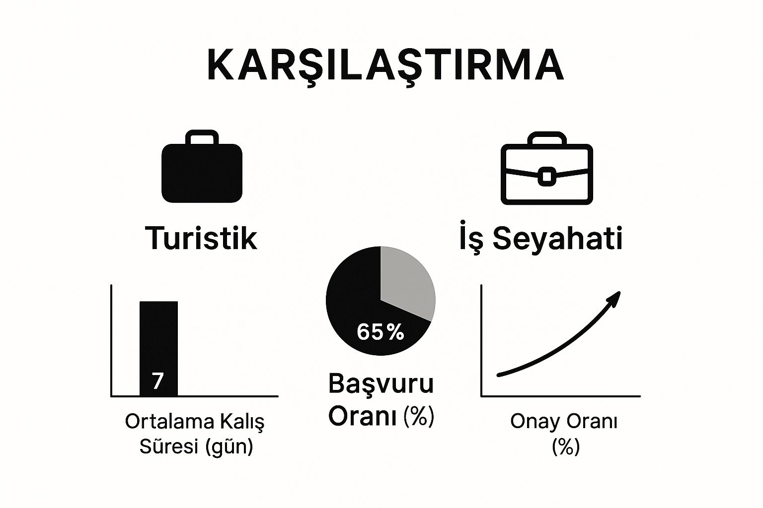  DS 160 formu örneği hakkında bir infografik