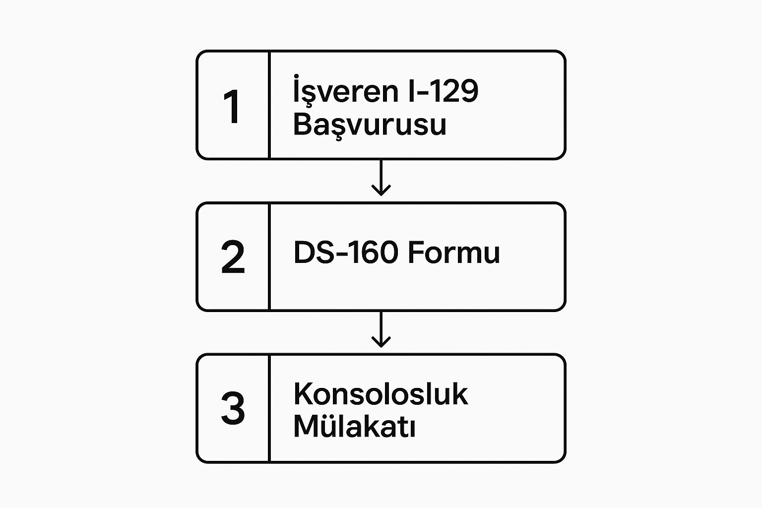 Infographic about abd vize türleri