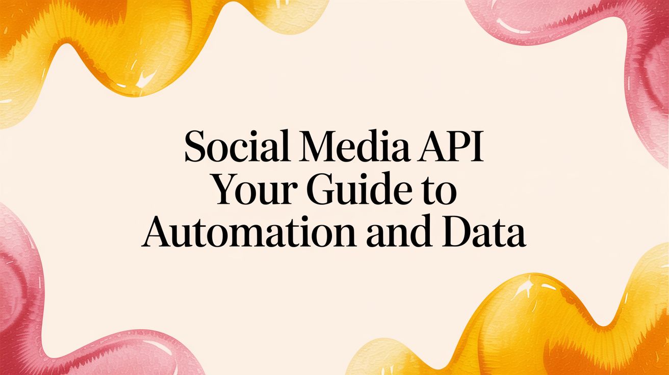 Social Media API Your Guide to Automation and Data
