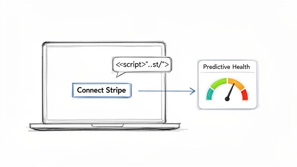 Diagram showing a script injection affecting a 'Connect Stripe' button and negatively impacting 'Predictive Health'.