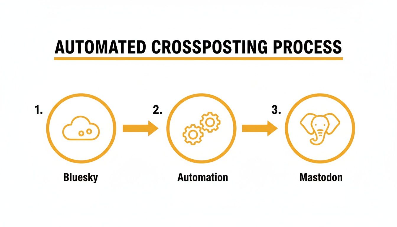Diagram showing an automated crossposting process from Bluesky to Mastodon via automation.