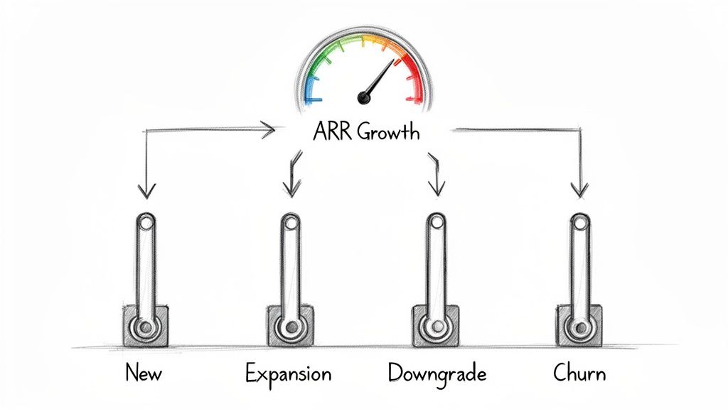 Diagram illustrating annual recurring revenue growth influenced by new sales, expansion, downgrades, and customer churn.