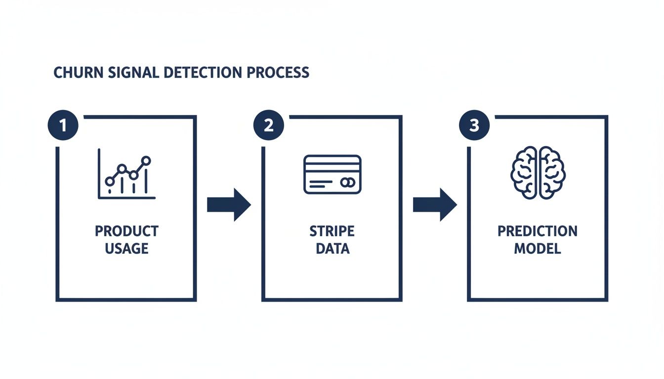A three-step churn signal detection process: product usage data, Stripe financial data, and a prediction model.