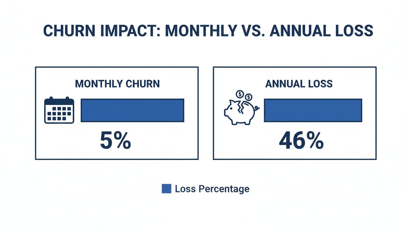 Infographic comparing monthly 5% churn to a significant 46% annual loss, illustrating churn impact.