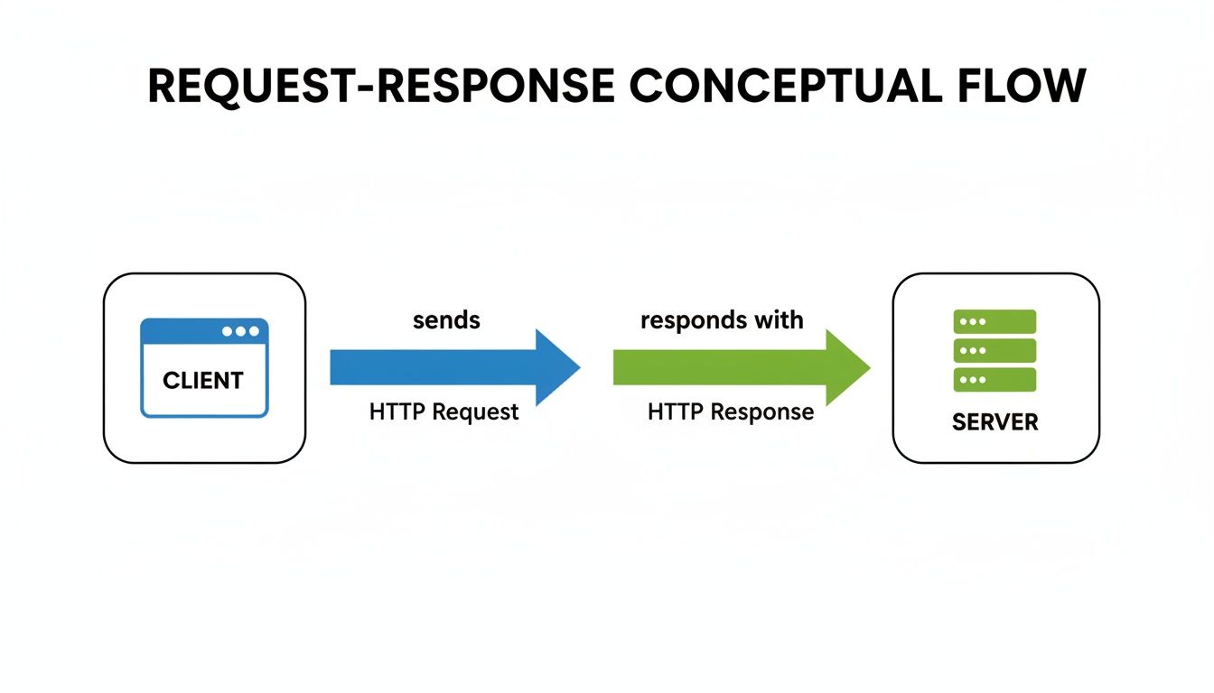 Diagram showing the conceptual request-response flow: client sends HTTP request, server responds with HTTP response.
