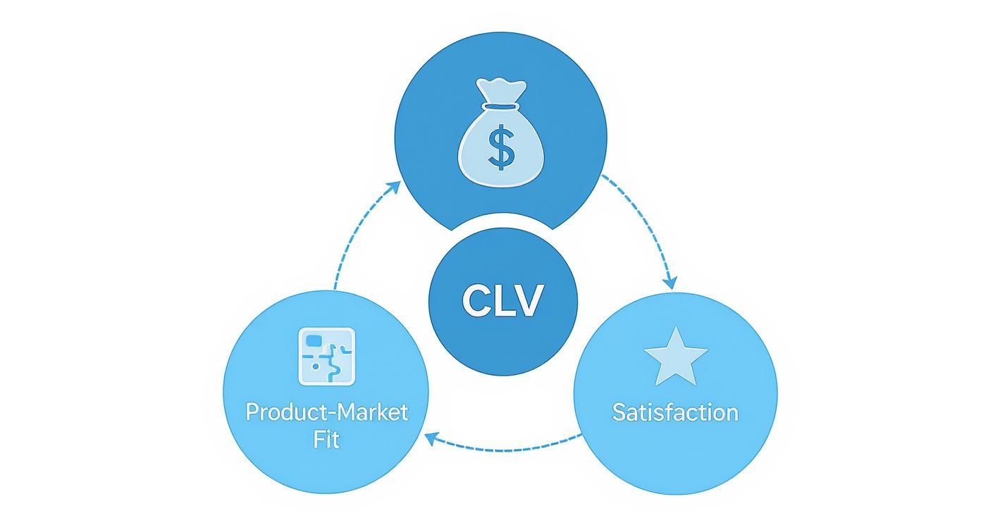 Diagram illustrating Customer Lifetime Value (CLV) at the core, surrounded by Product-Market Fit, revenue, and Satisfaction in a continuous cycle.
