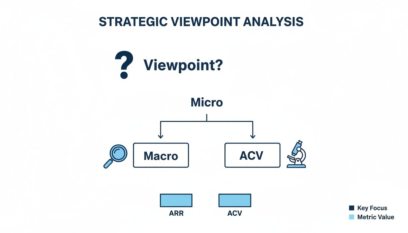 A strategic viewpoint analysis flowchart showing Micro splitting into Macro and ACV, with ARR and ACV metrics.