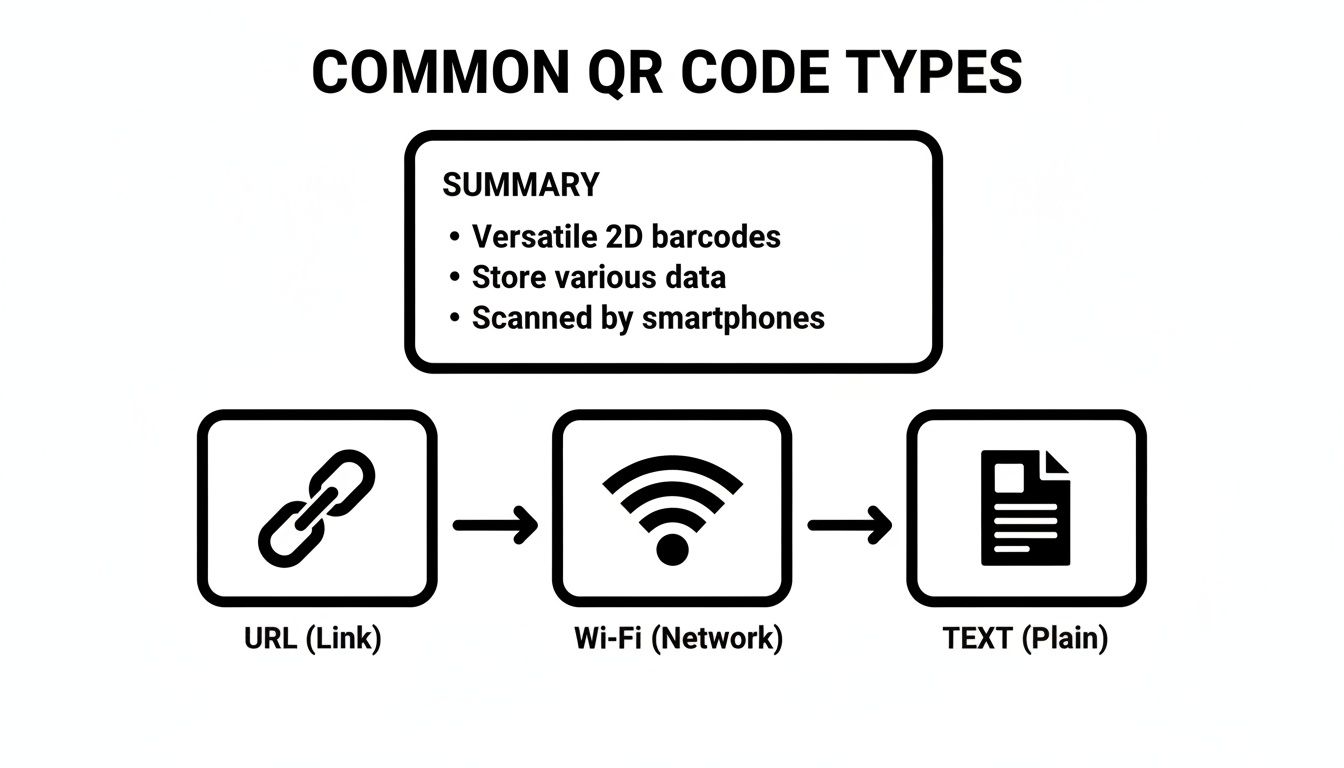 An infographic illustrating common QR code types like URL (Link), Wi-Fi (Network), and plain TEXT, with a summary.