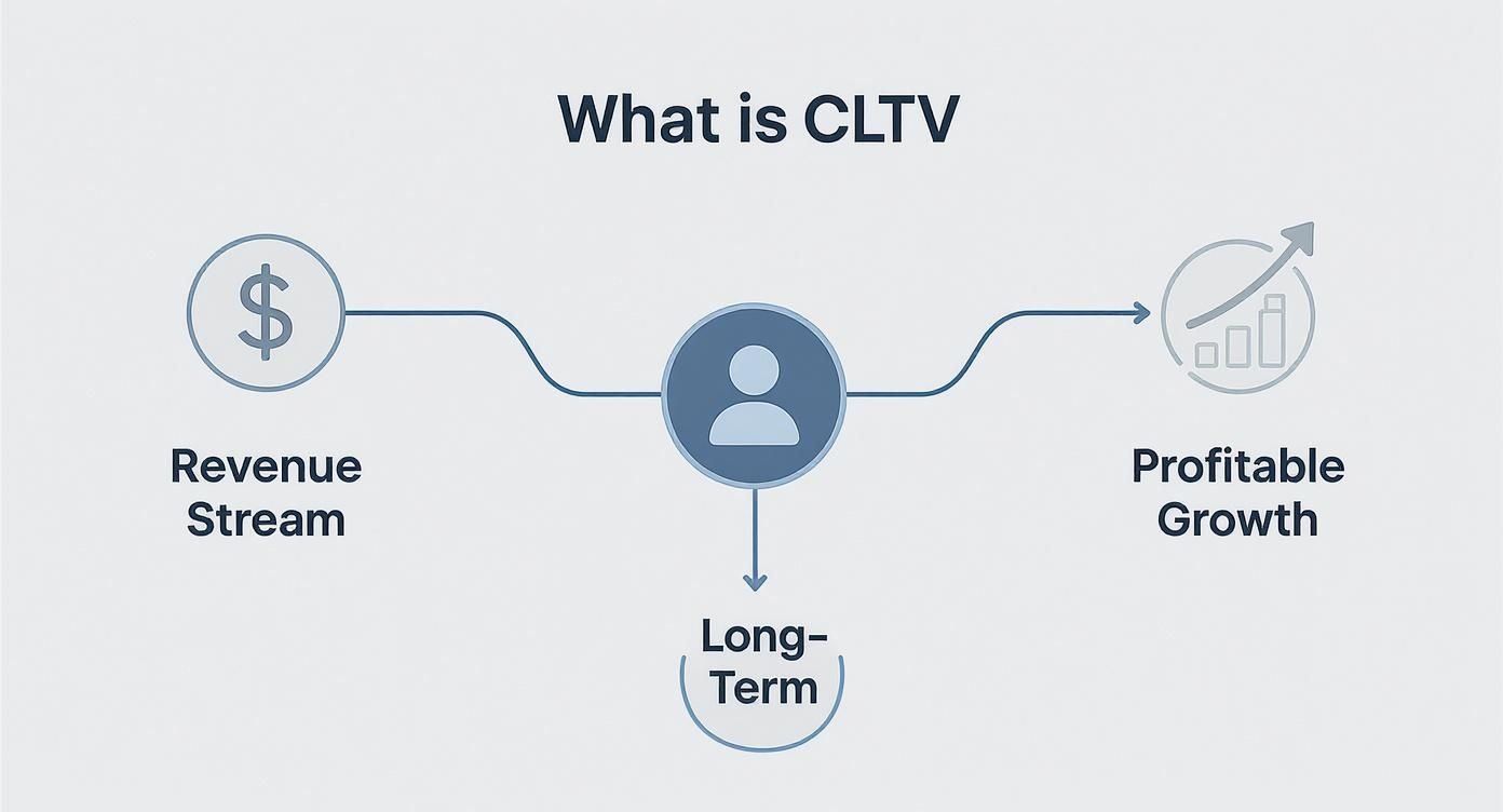 Diagram explaining Customer Lifetime Value (CLTV) showing revenue stream, customer, long-term, and profitable growth.