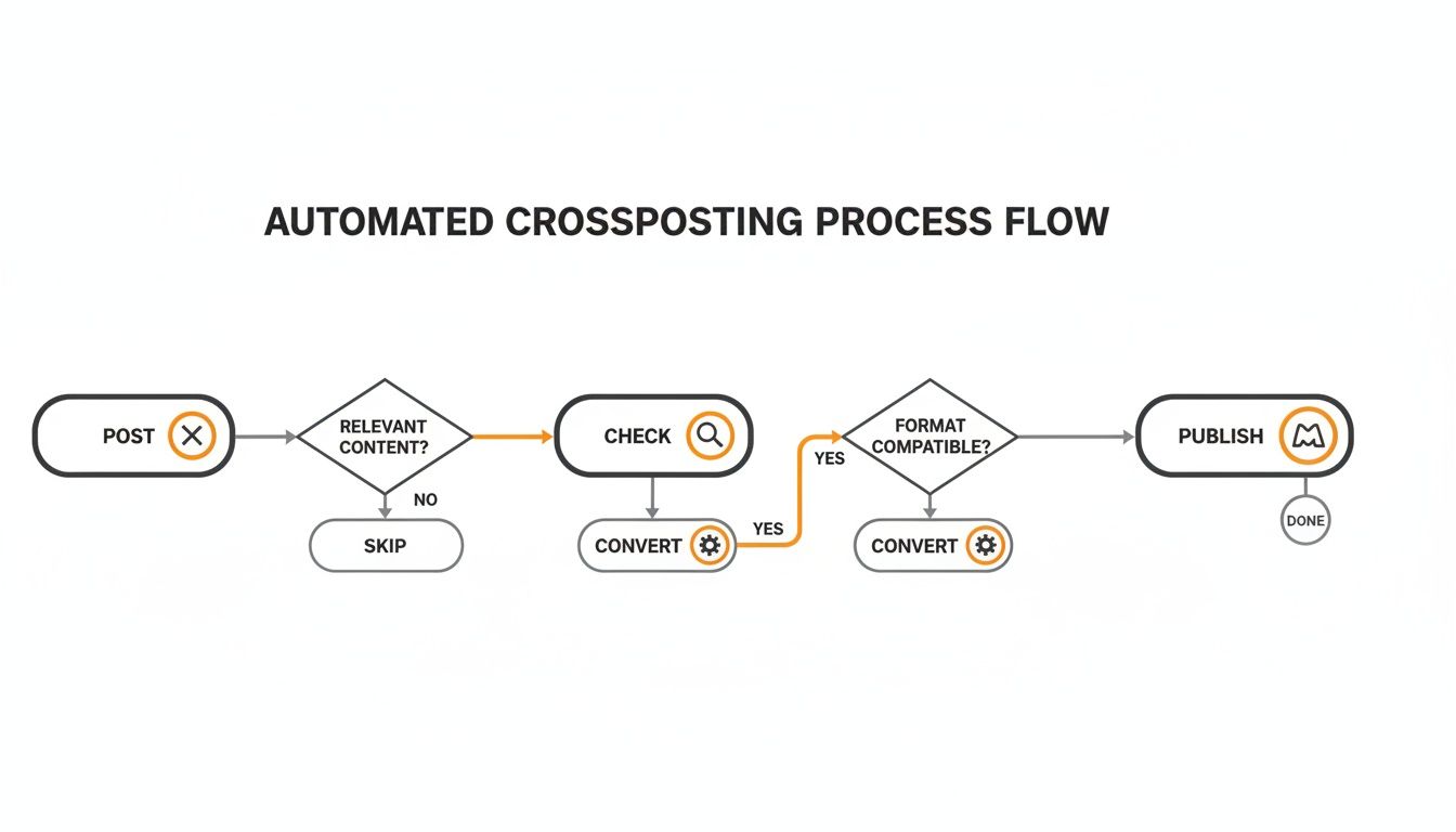 A flowchart showing an automated crossposting process, including steps for content relevance, checking, conversion, and publishing.