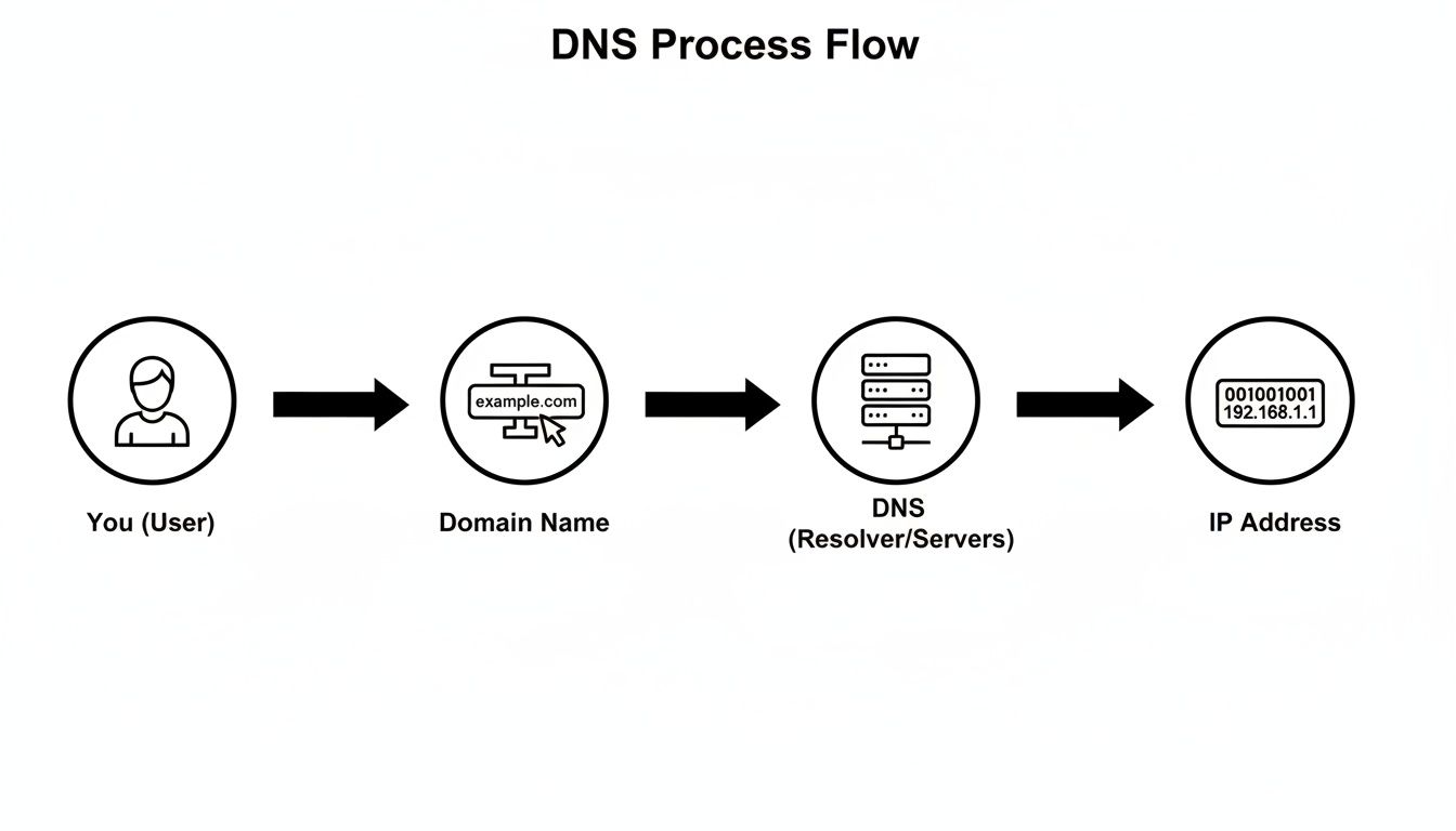DNS process flow diagram showing a user resolving a domain name to an IP address.